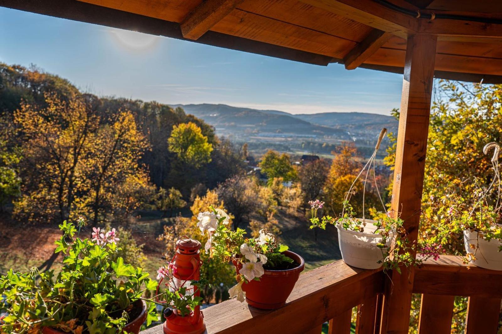 La Maria Si Ioana Appartement Curtea de Argeş Buitenkant foto