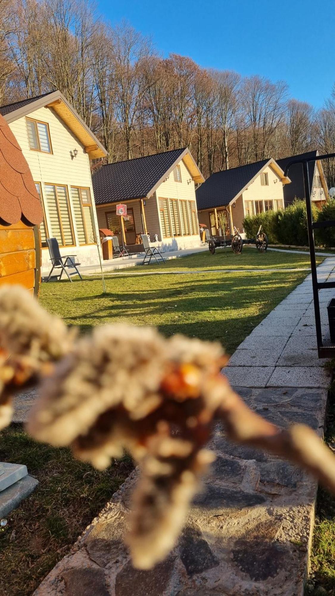 La Maria Si Ioana Appartement Curtea de Argeş Buitenkant foto